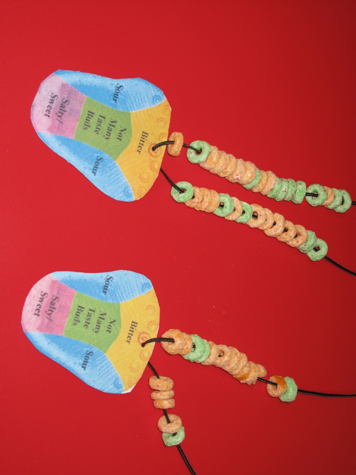 Primary Learning Logs: Exploring Our Sense of Taste