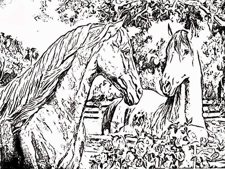 Christian Images In My Treasure Box: Detailed Coloring Sheets - Horses