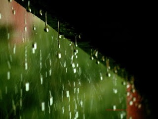 rain+drops