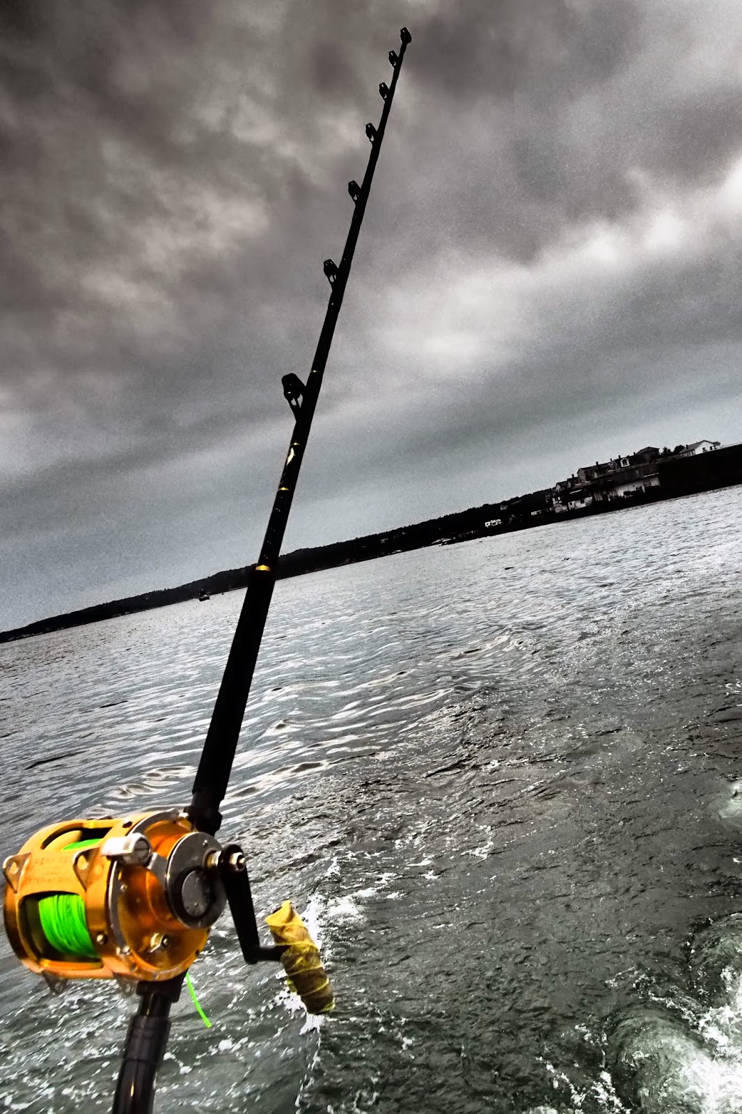 A Boston Food Diary Wicked Tuna Throwdown Alchemy Restaurant vs Union