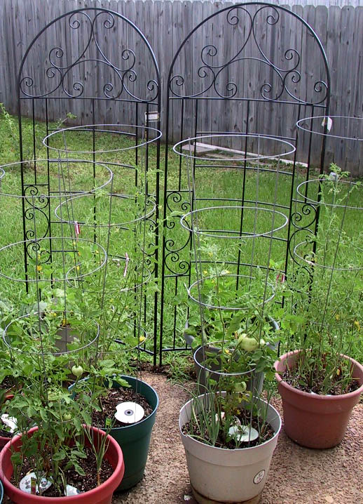 ForestJane Designs Cantaloupe on a Trellis