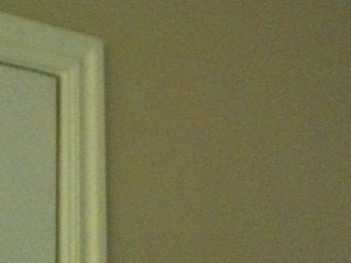 Whispering Wheat Paint