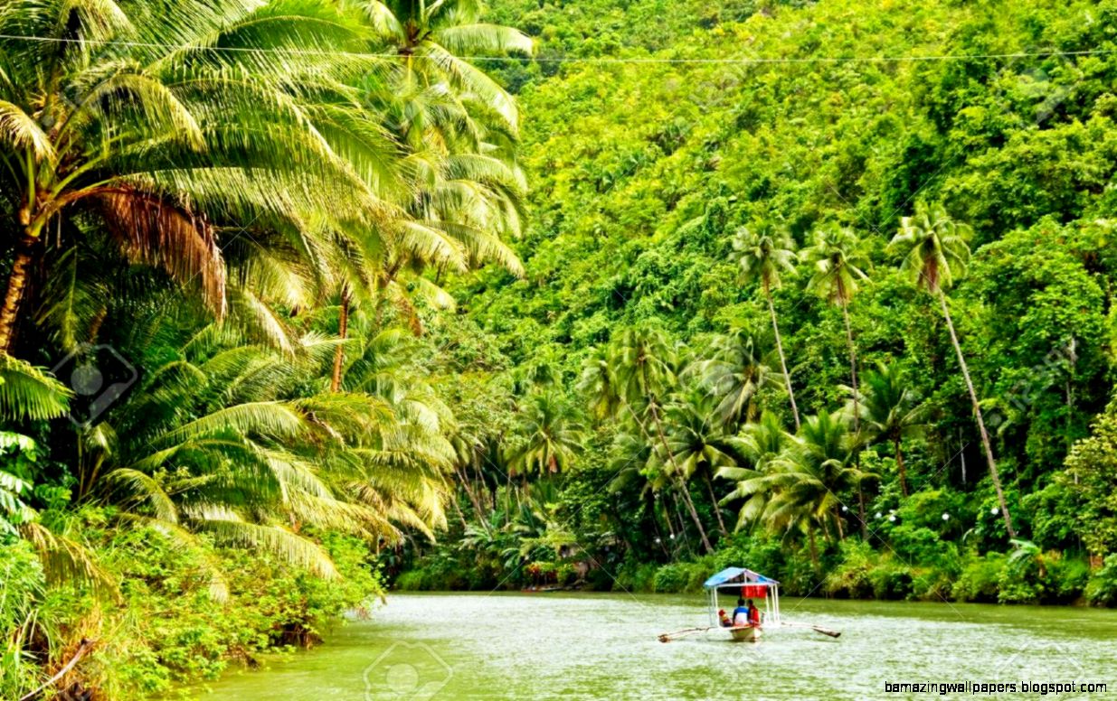 Amazon Rainforest Stock Photos Pictures Royalty Free Amazon Amazon Rainforest Stock Photos Pictures Royalty Free Amazon