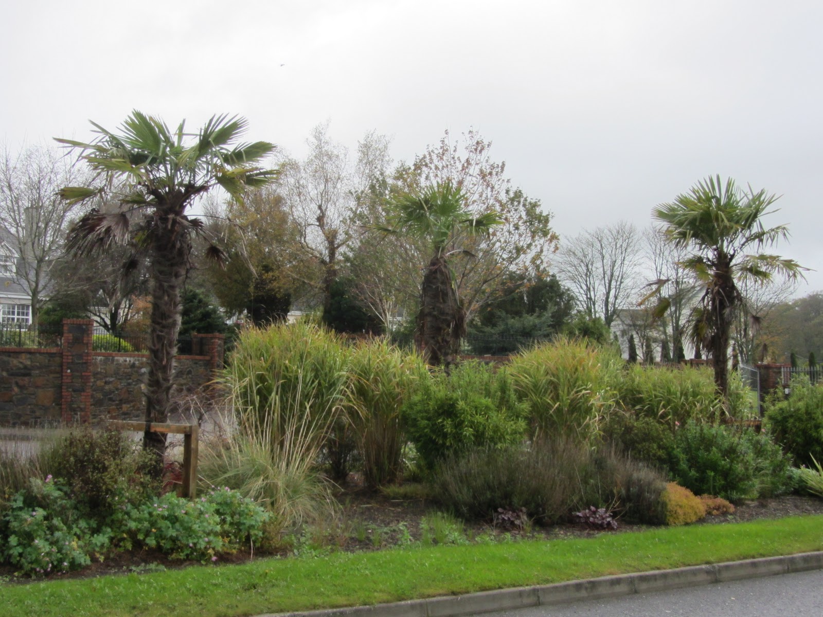 Coming Back to Ireland Kissing the Blarney Stone!