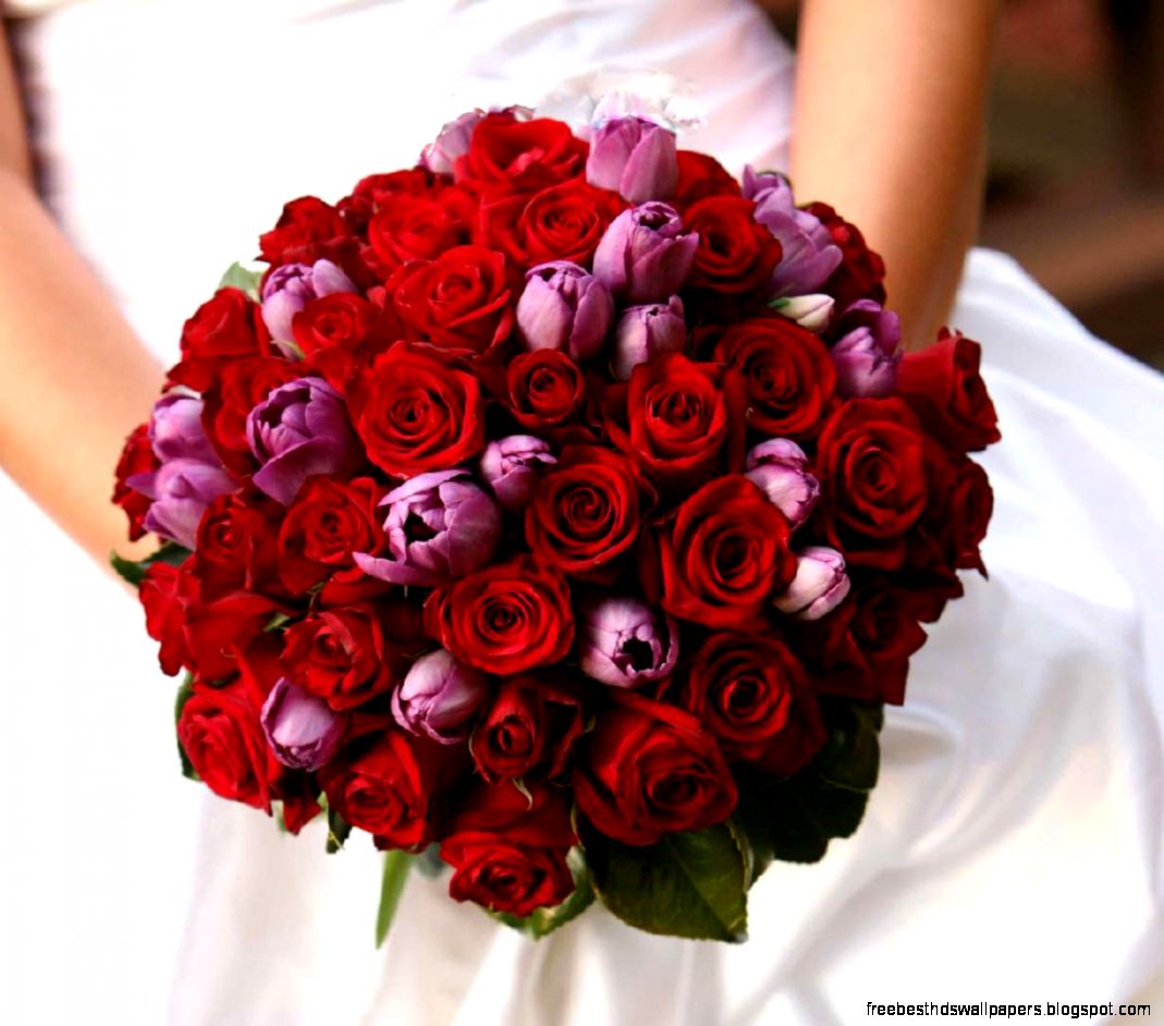 Bridal Bouquet Flowers for Weddings in Brisbane Sunshine Coast Bridal Bouquet Flowers for Weddings in Brisbane Sunshine Coast