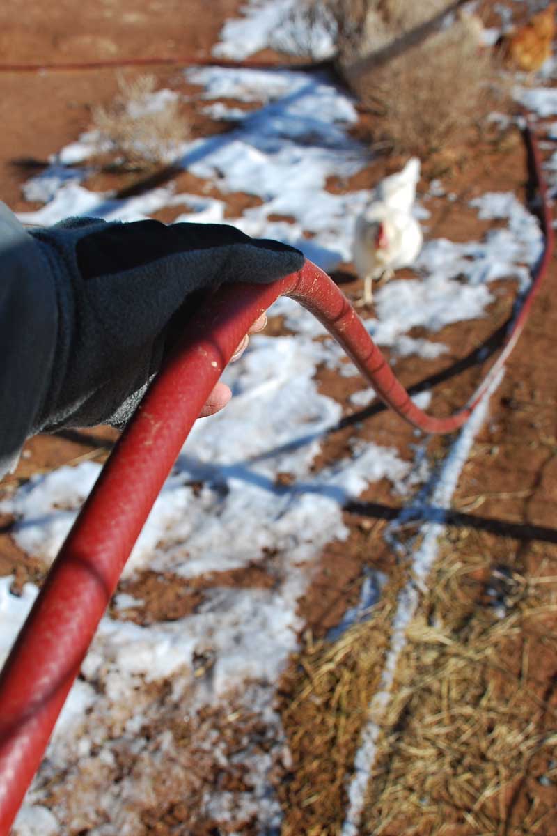 The 7MSN Ranch The art and science of watering livestock in winter