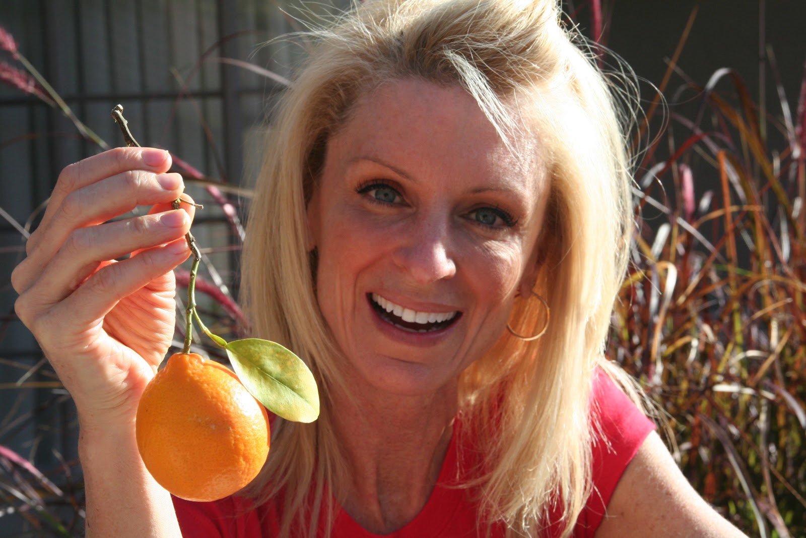 suzanne somers how to change your life kelly childs are you living your life yet kelly childs suzanne somers how to change your life kelly childs are you living your life yet kelly childs