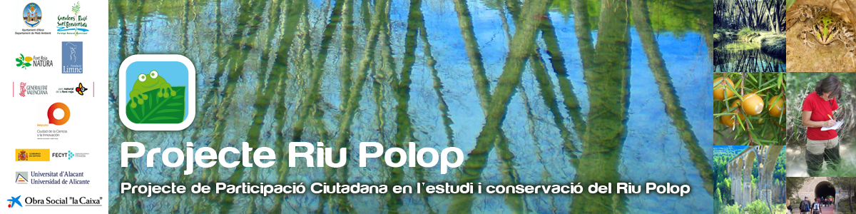Projecte de Participació Ciutadana per a l'estudi i conservació del Riu Polop