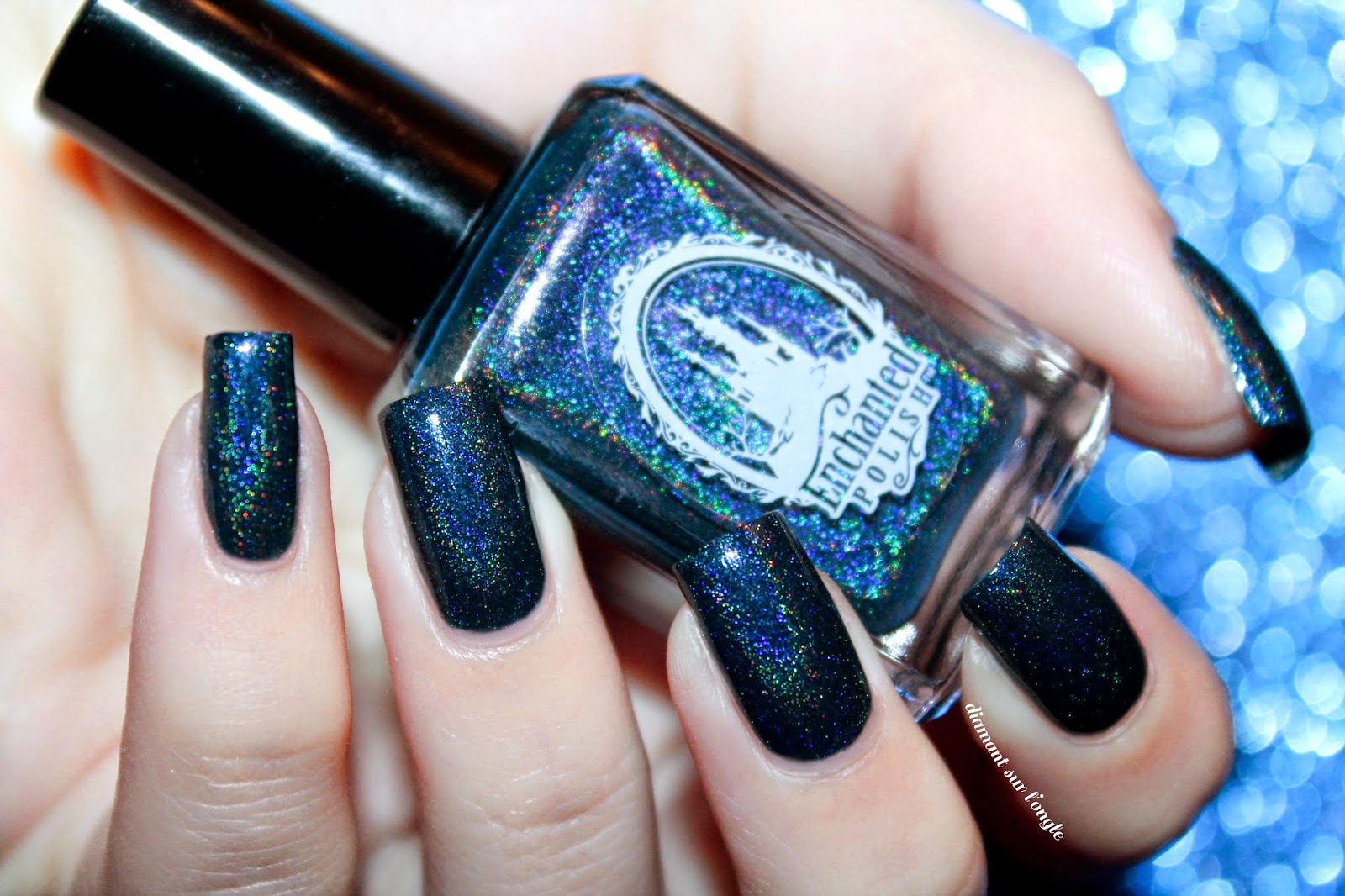 Swatch of January 2014 by Enchanted Polish