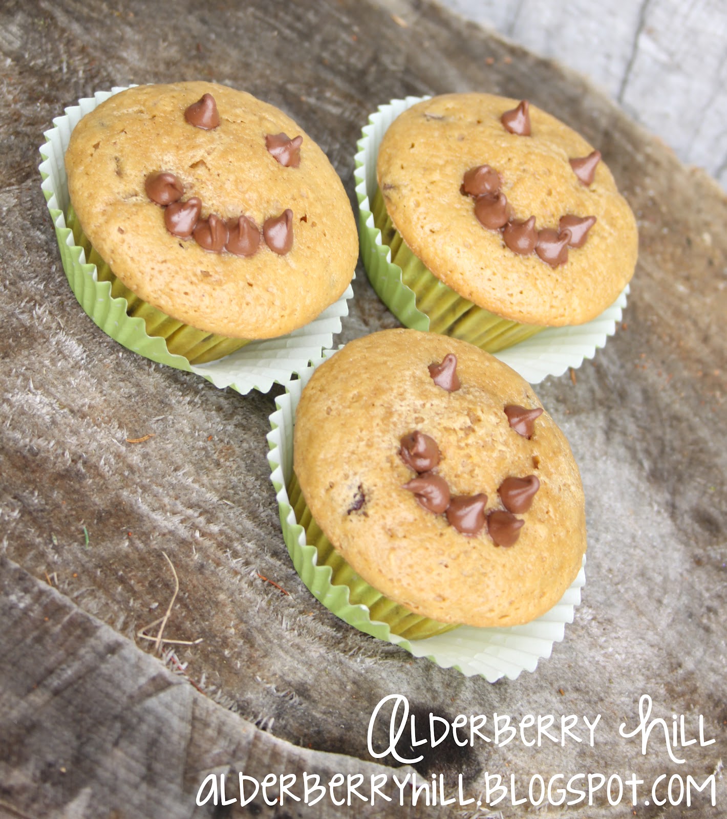 Alderberry Hill Smiley Face Chocolate Chip Muffins
