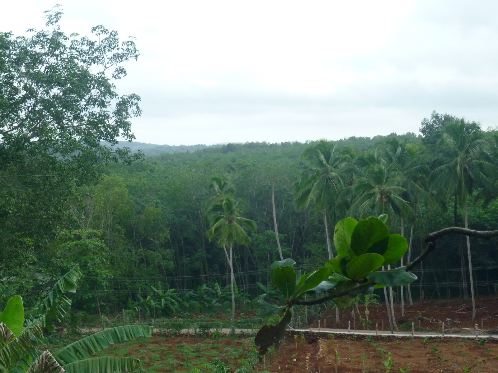 Tourist Spots in Tamil Nadu Mathur Thottipalam Bridge in Nagercoil