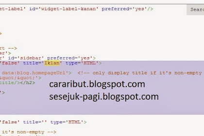 Cara menampilkan widget blog hanya di homepage