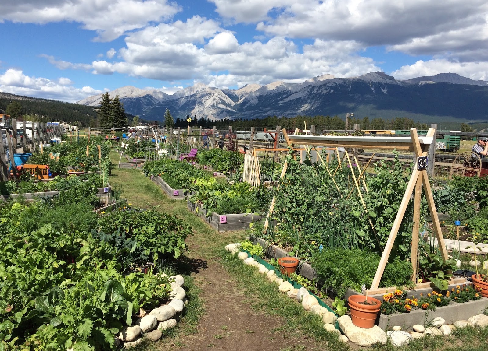 Gardening with Jess Jasper community garden