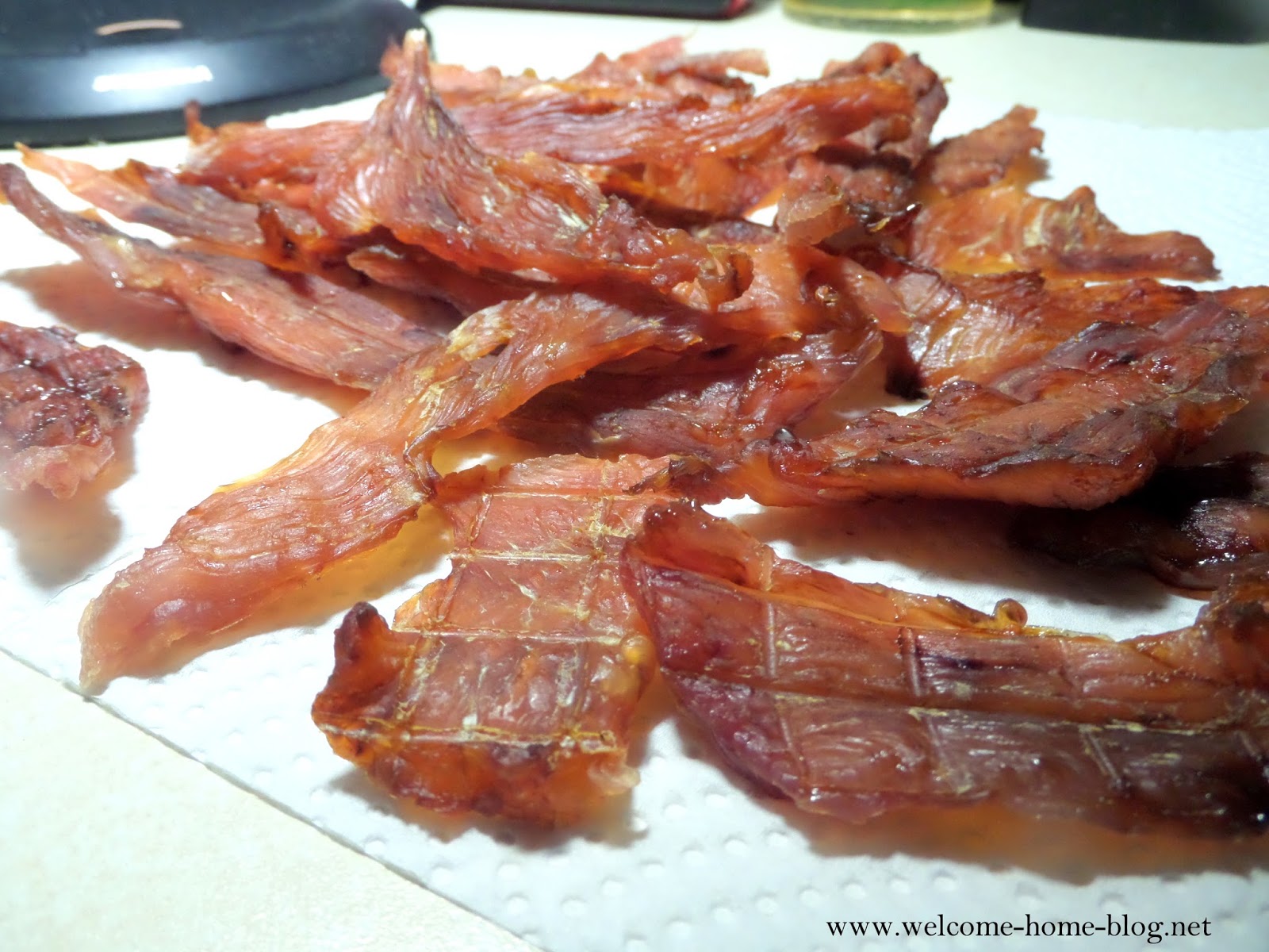 Welcome Home Blog: Homemade Turkey Jerky Treats For Dogs