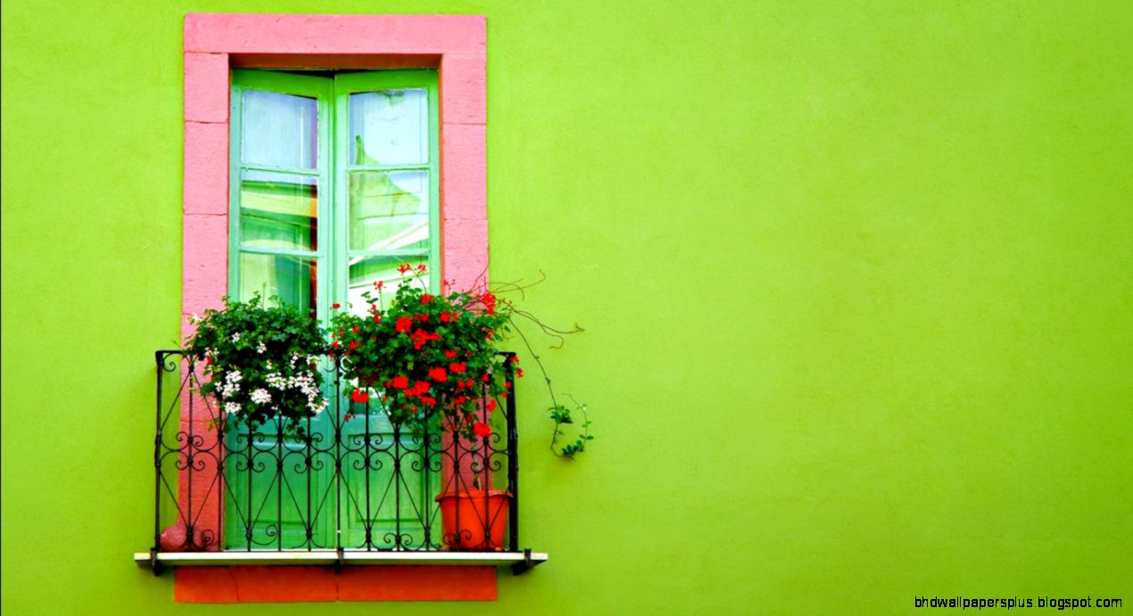 window wallpaper Zellox window wallpaper Zellox