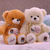 Cute Teddy Bear Couple | Lovely Pics of Soft Toy Teddy Bear
