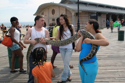 Snakes on Coney Island Brooklyn New York