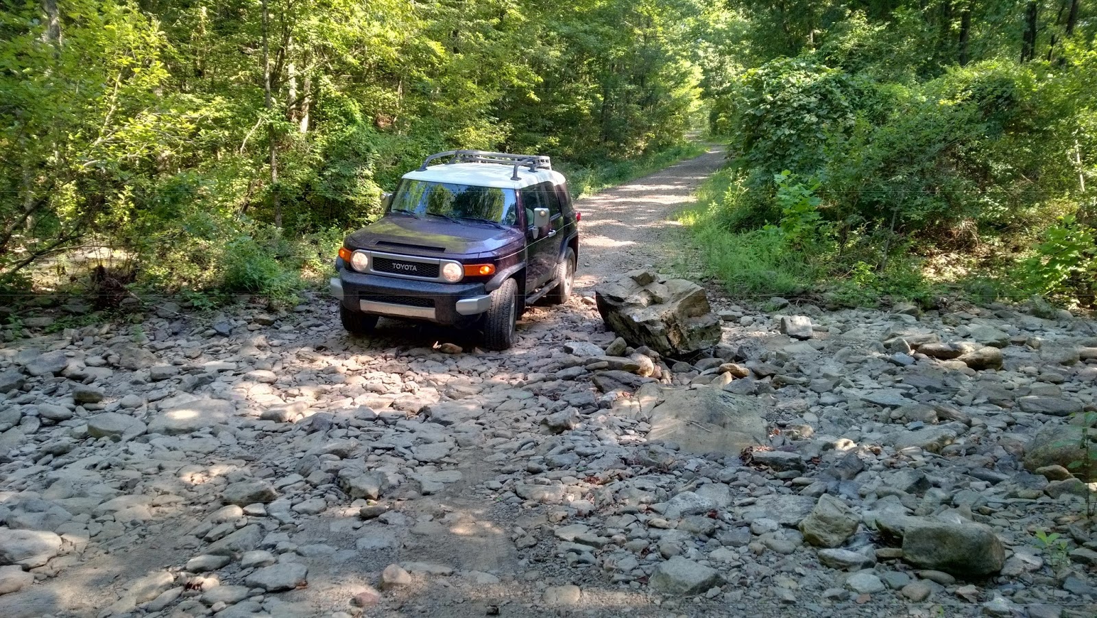 Rick's Hiking Blog Penhook Polyfoss, Penhook Special Interest Area