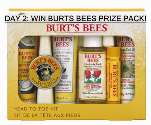 12 Days of Christmas Giveaways 12 Days of Christmas Giveaways