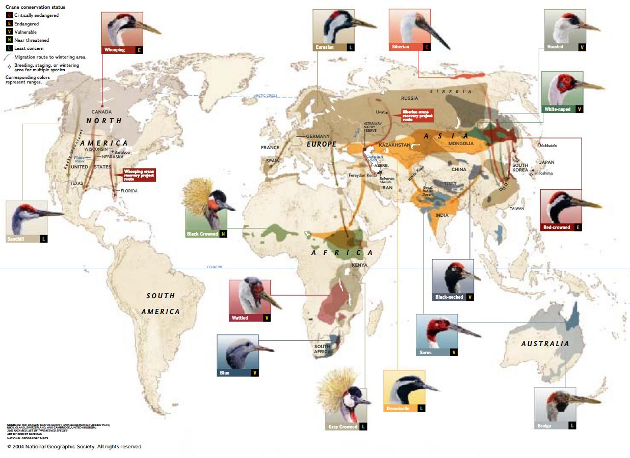 Species New to Science [Infographic National Geographic • 2004