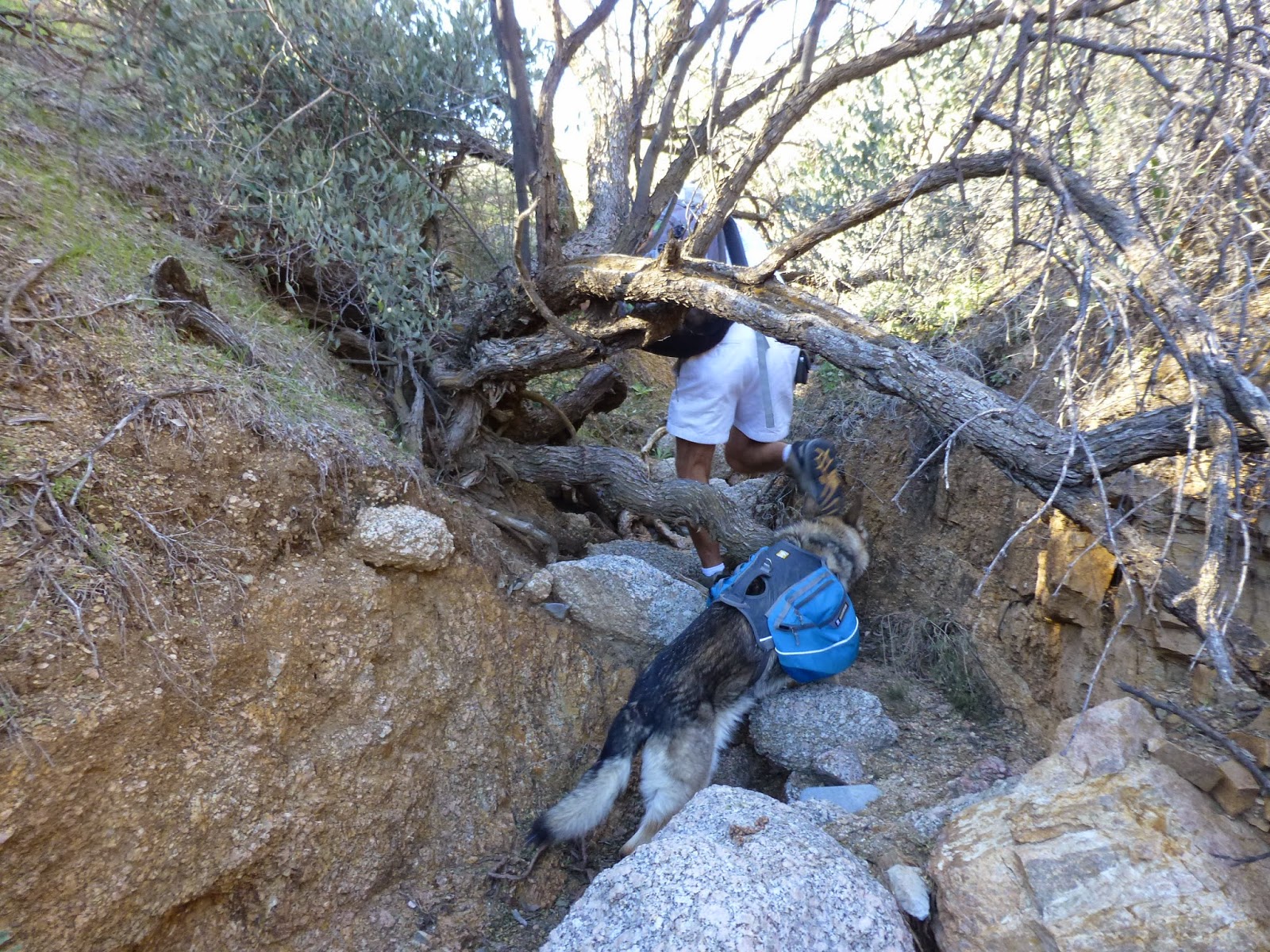 Hiking Camp Creek Falls, Tonto National Forest, Arizona