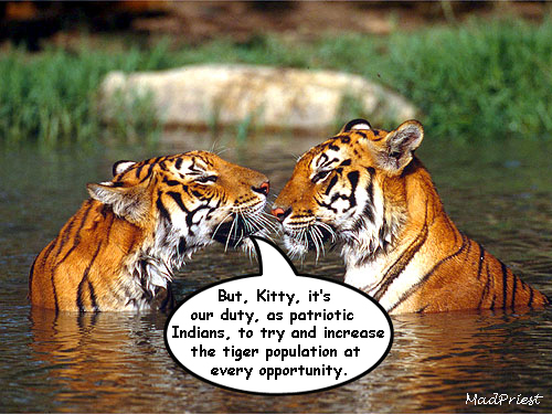 Case study on tigers in india image