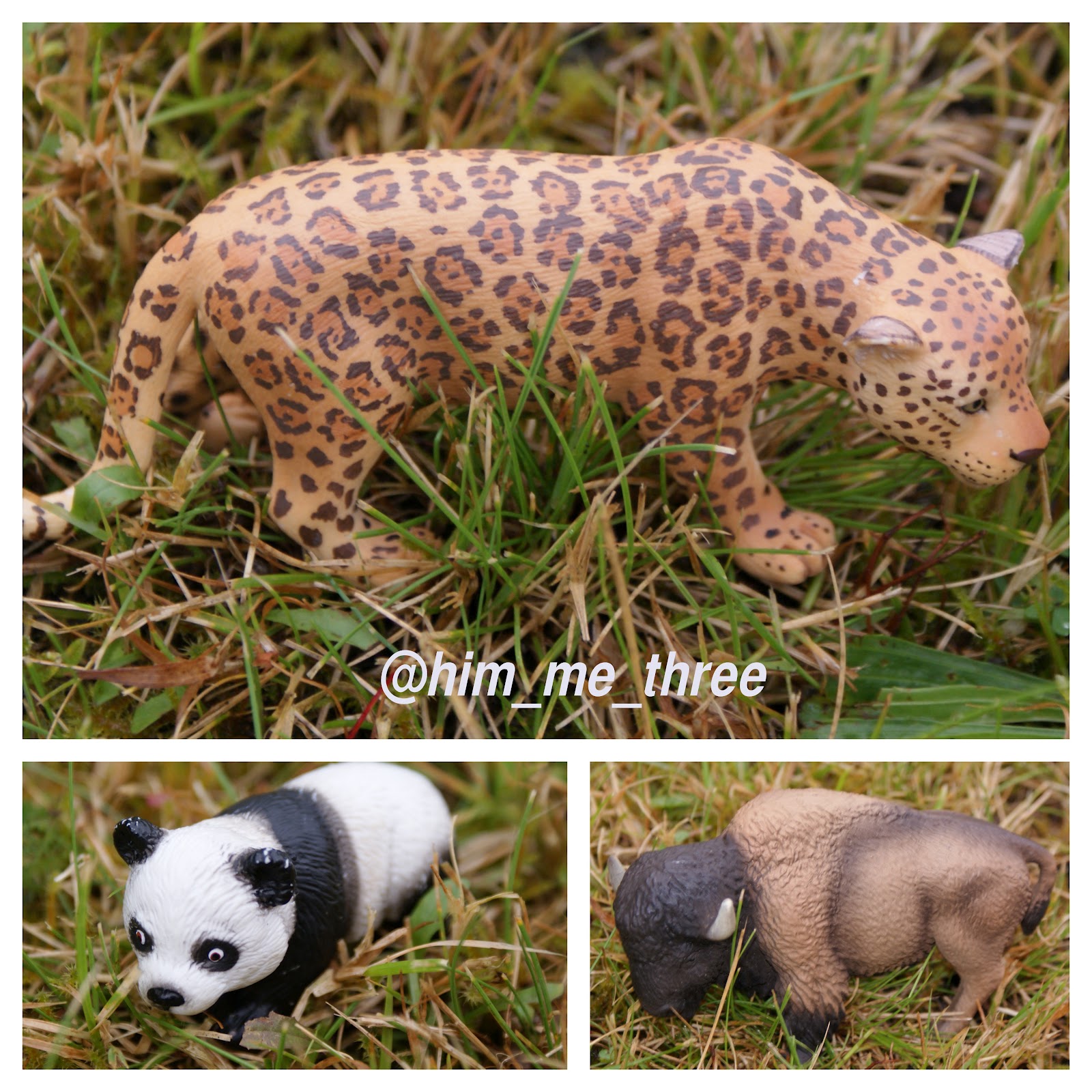 Him, me & three Schleich Wild Life review