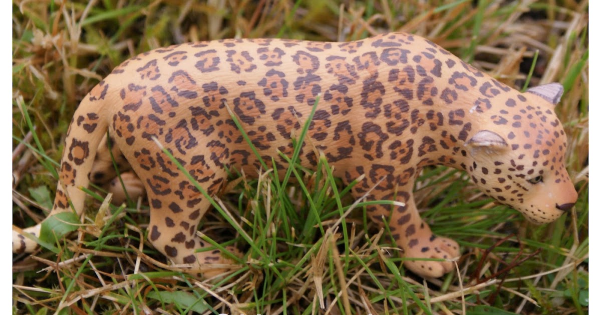 Him, me & three: Schleich Wild Life review