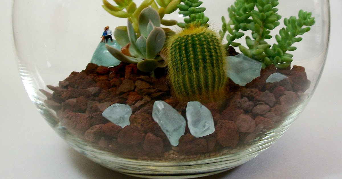 bearded-dragon-terrarium-desert-themed.jpg