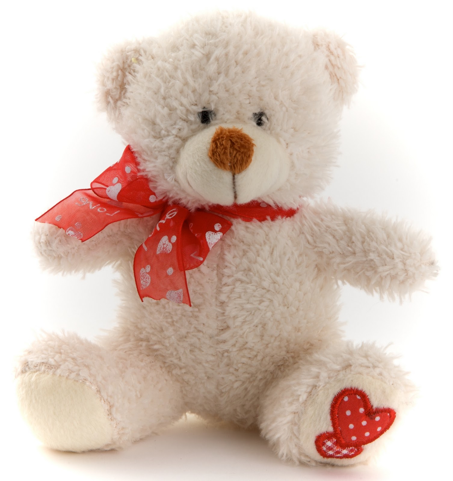 poundland teddy