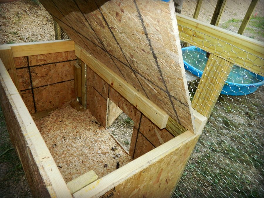 X Marks the Spot Duck...Duck...PEN!