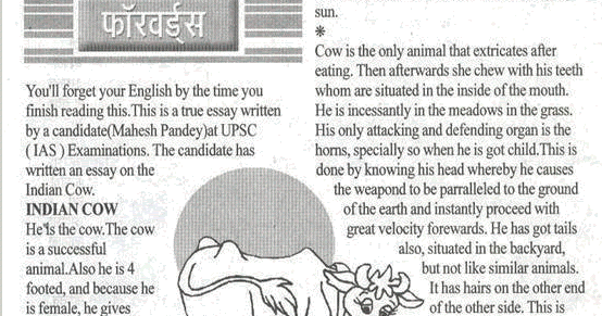 The cow essay 10 lines for class 3 picture