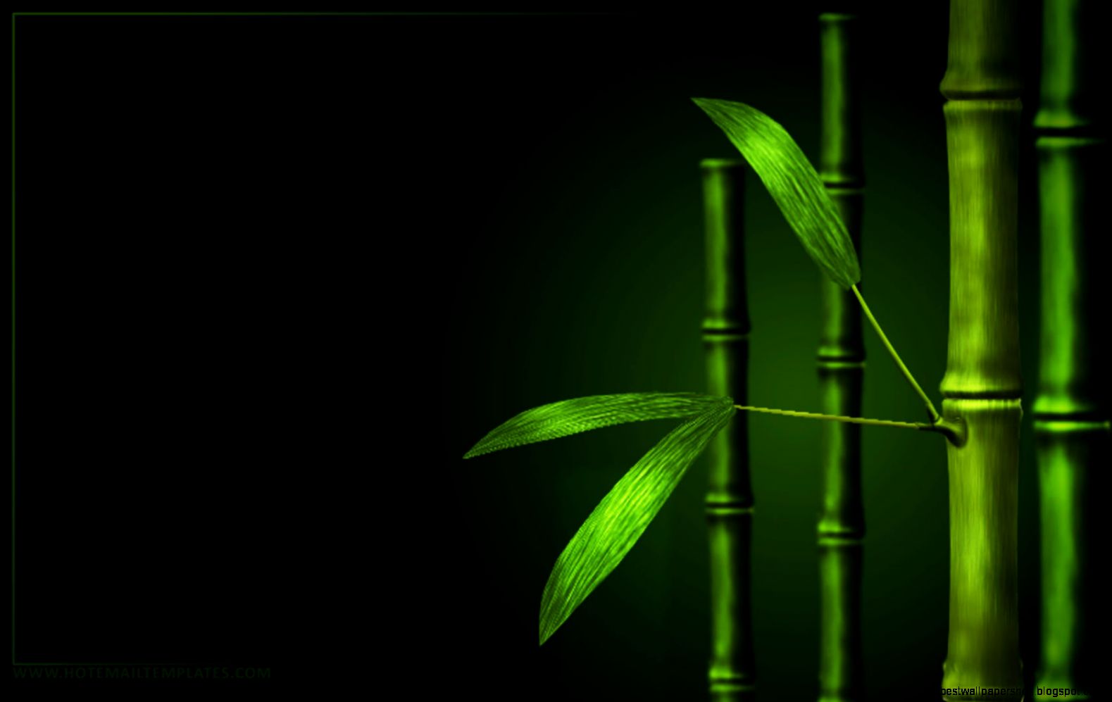 Bamboo Desktop Wallpaper WallpaperSafari Bamboo Desktop Wallpaper WallpaperSafari