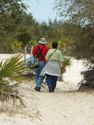 I hear the ocean just over this dune!