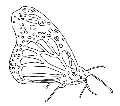 Monarch Butterfly Coloring Page Monarch Butterfly Coloring Page