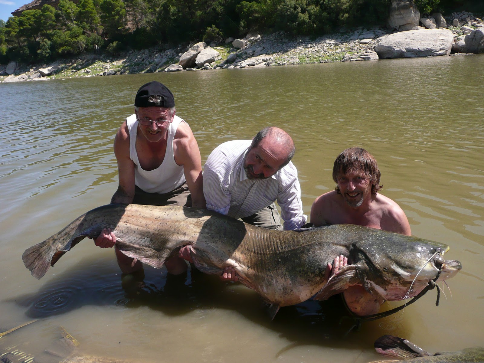 CATFISH FISHING GUIDE IN THE RIVER EBRO, CATFISHING AND CARPFISHING
