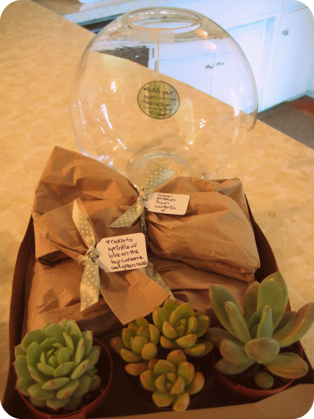 Give me all the flowers. Build Your Own Terranium, Wait I Mean Terrarium