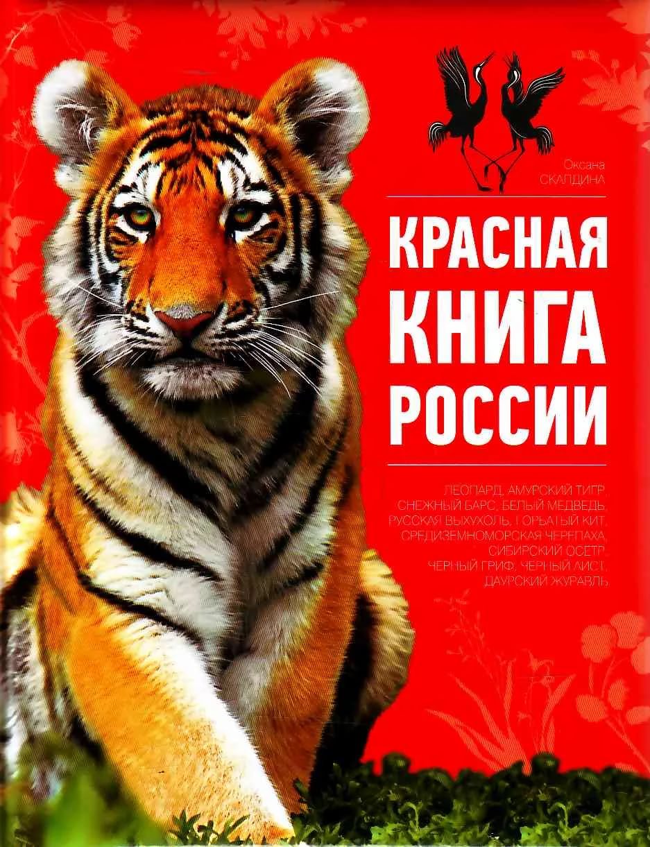 Интересный интернет конкурс