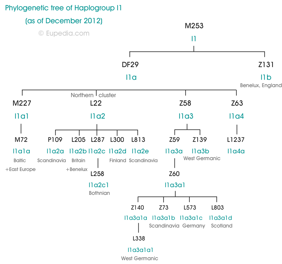 Y-DNA Haplogroup I Tree