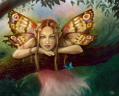 227913_365079760236360_1064834885_n