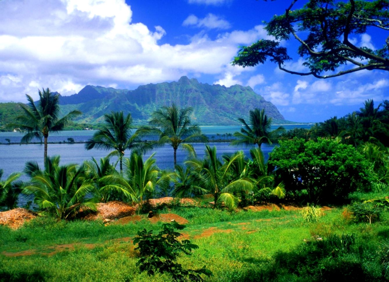 Natural Beauty Wallpapers Desktop Backgrounds Natural Beauty Wallpapers Desktop Backgrounds