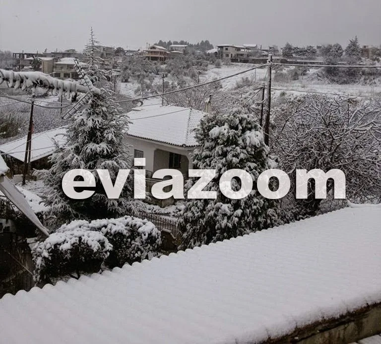 Με χιόνια ξύπνησε η Εύβοια - Δείτε που το έχει στρώσει! ΦΩΤΟΓΡΑΦΙΕΣ