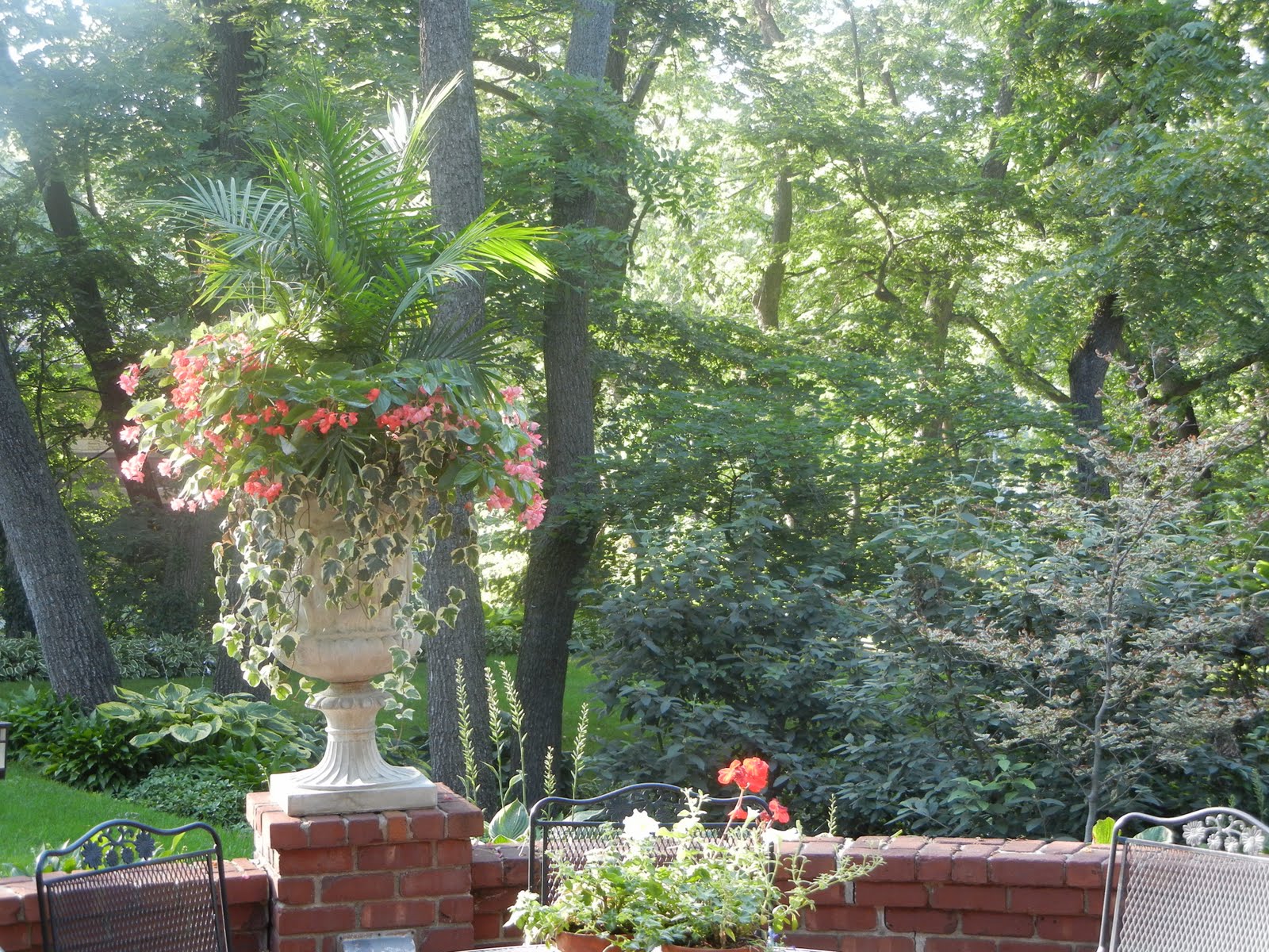 The French Tangerine kelly's garden