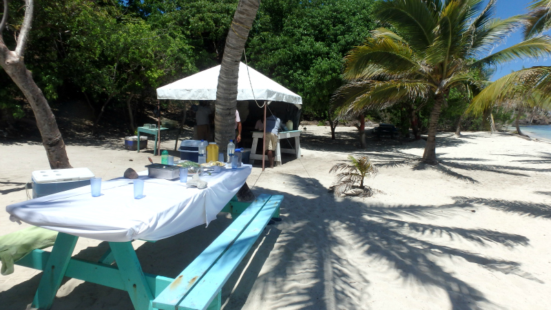 Petit Bateau in the Tobago Cays Marine Park in The Grenadines