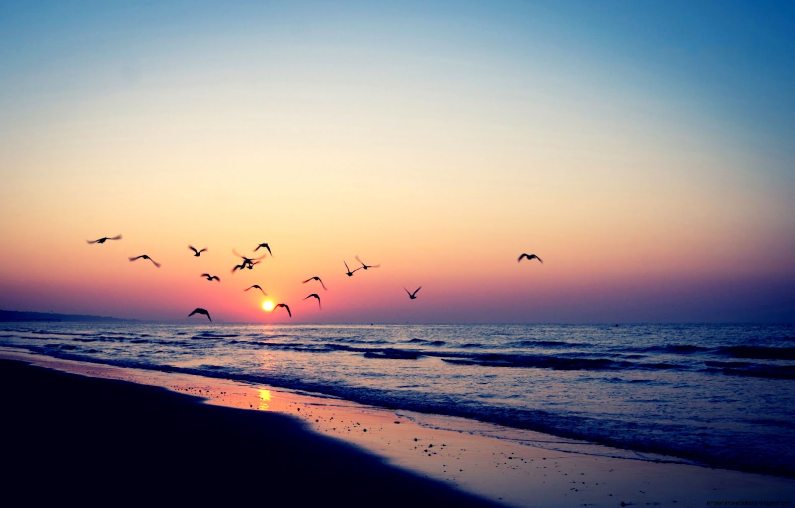 Tumblr Summer Beach Photography Tumblr Summer Beach Photography