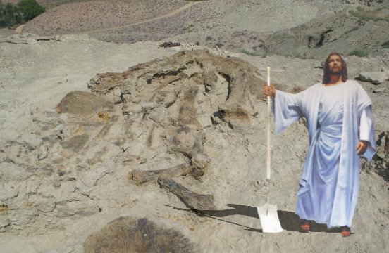 do fossil finds contradict the bible Does archaeology confirm or deny the claims of the bible little by little, one city after another, one civilization after another, one culture after another, whose memories were enshrined only in the bible, were restored to their proper places in ancient history by the studies of archaeologists nowhere has archaeological dis. do fossil finds contradict the bible Does archaeology confirm or deny the claims of the bible little by little, one city after another, one civilization after another, one culture after another, whose memories were enshrined only in the bible, were restored to their proper places in ancient history by the studies of archaeologists nowhere has archaeological dis.