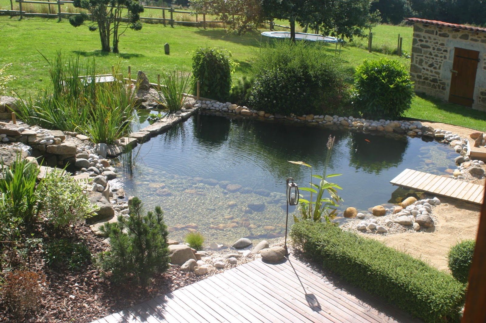 Pourquoi une piscine naturelle ?