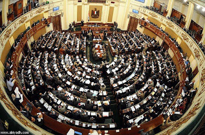 عبد المنعم السعيد يؤكد: هناك 5 نواب في البرلمان مرضى نفسيين