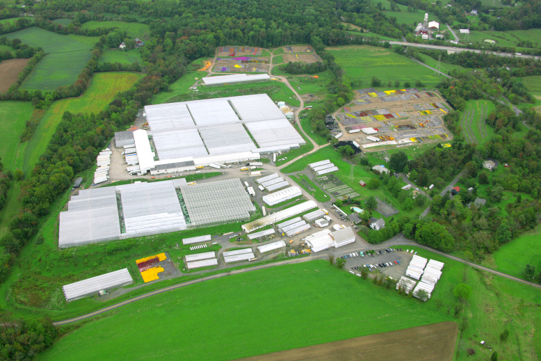 Dan Schantz Greenhouse and Cut Flower Outlet 20130331