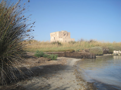 mare di Torre Guaceto
